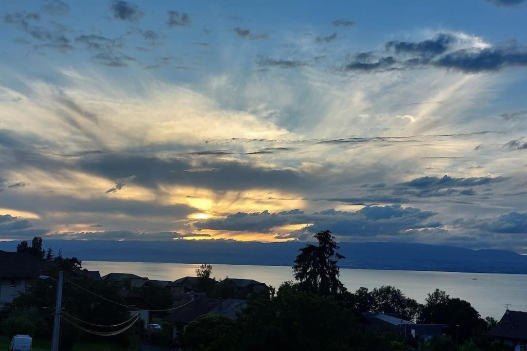 Appart Cosy Avec Vue Sur Le Lac Leman Évian-les-Bains Esterno foto