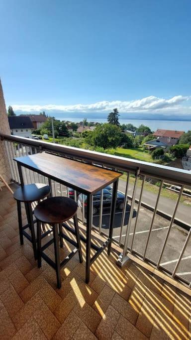 Appart Cosy Avec Vue Sur Le Lac Leman Évian-les-Bains Esterno foto